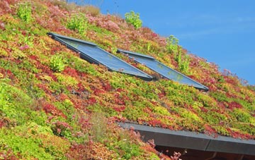 Hoby living roof systems